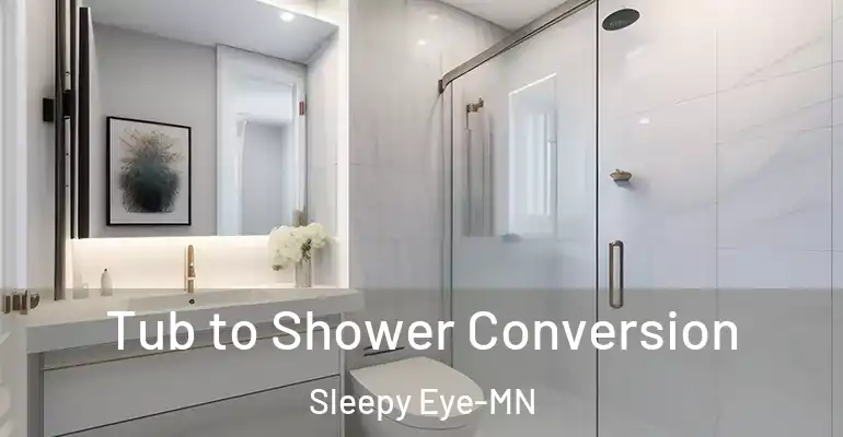 inner Bathroom imggen Tub to Shower Conversion Sleepy Eye-MN