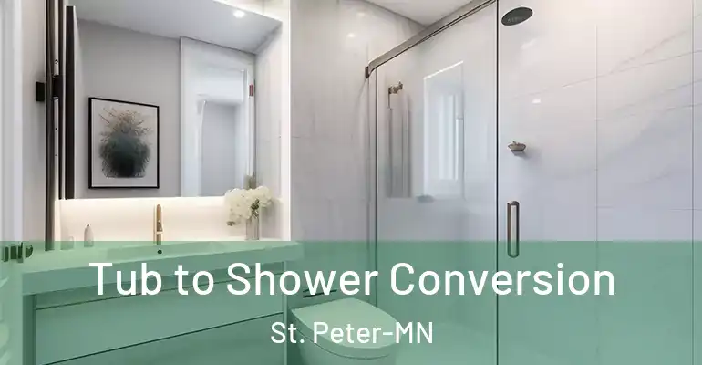 inner Bathroom imggen Tub to Shower Conversion St. Peter-MN