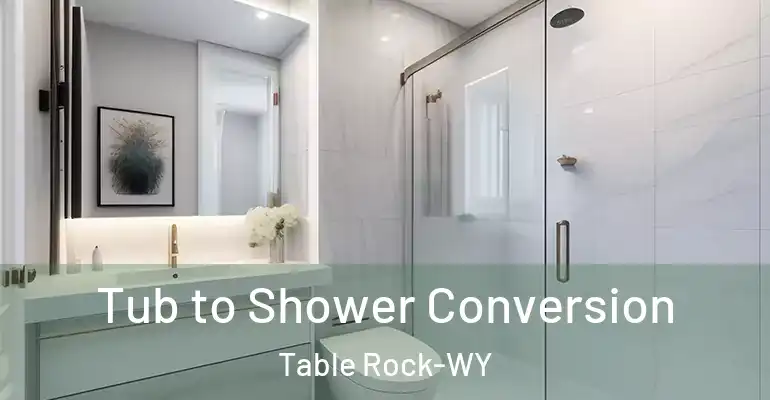 inner Bathroom imggen Tub to Shower Conversion Table Rock-WY