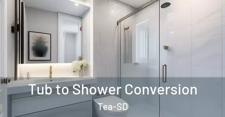 inner Bathroom imggen Tub to Shower Conversion Tea-SD