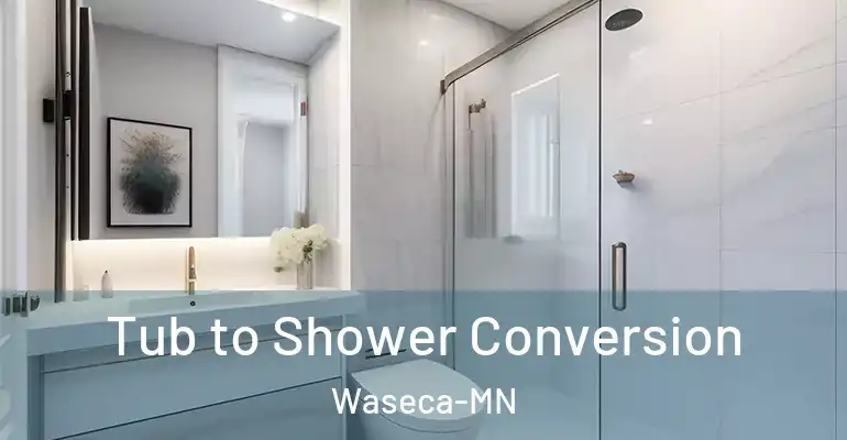 inner Bathroom imggen Tub to Shower Conversion Waseca-MN