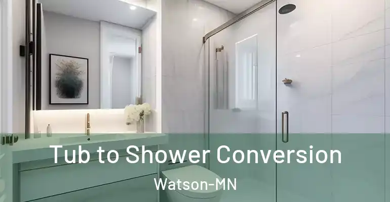 inner Bathroom imggen Tub to Shower Conversion Watson-MN