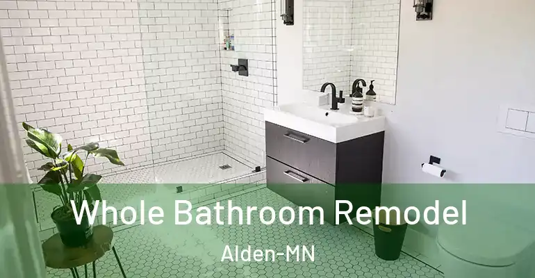 inner Bathroom imggen Whole Bathroom Remodel Alden-MN