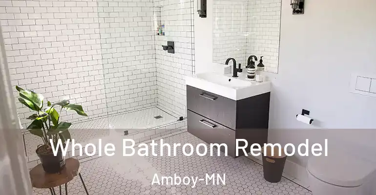 inner Bathroom imggen Whole Bathroom Remodel Amboy-MN