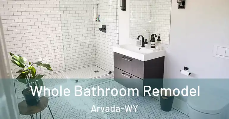 inner Bathroom imggen Whole Bathroom Remodel Arvada-WY