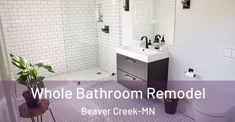 inner Bathroom imggen Whole Bathroom Remodel Beaver Creek-MN