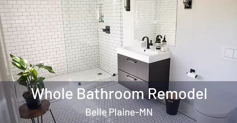inner Bathroom imggen Whole Bathroom Remodel Belle Plaine-MN