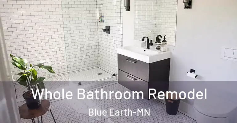 inner Bathroom imggen Whole Bathroom Remodel Blue Earth-MN