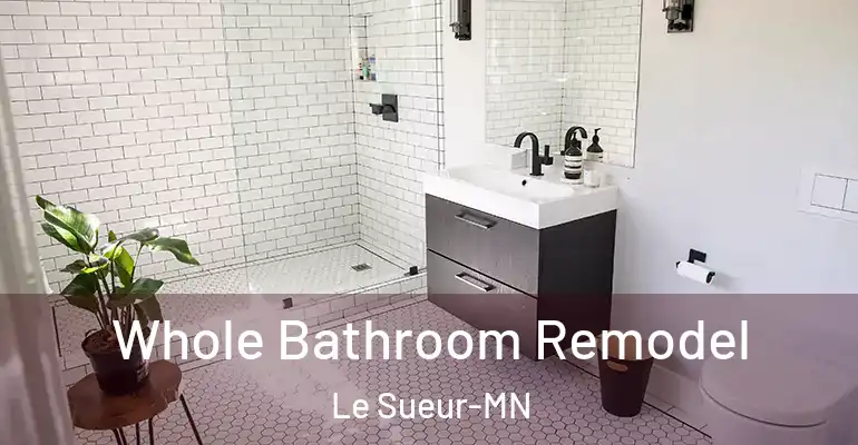 inner Bathroom imggen Whole Bathroom Remodel Le Sueur-MN