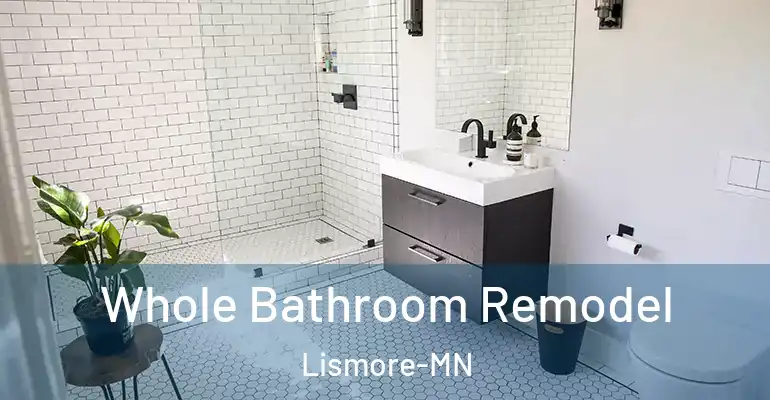 inner Bathroom imggen Whole Bathroom Remodel Lismore-MN