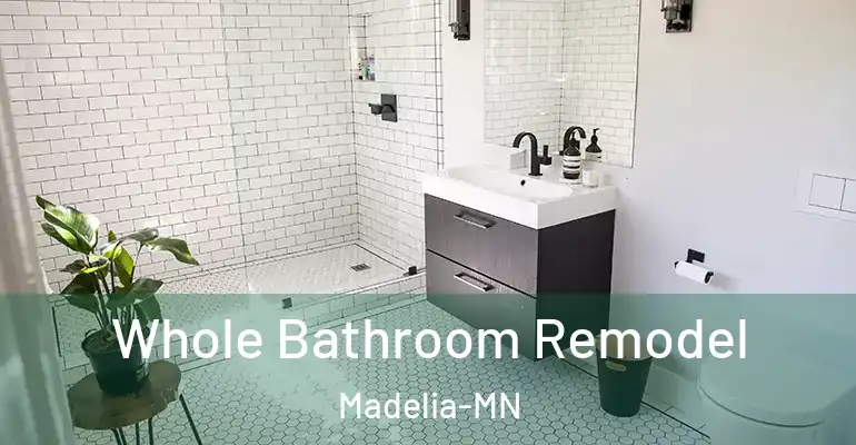 inner Bathroom imggen Whole Bathroom Remodel Madelia-MN