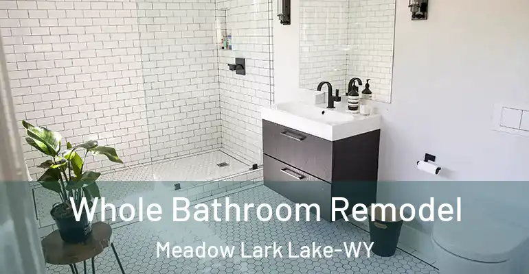 inner Bathroom imggen Whole Bathroom Remodel Meadow Lark Lake-WY
