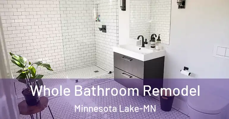 inner Bathroom imggen Whole Bathroom Remodel Minnesota Lake-MN
