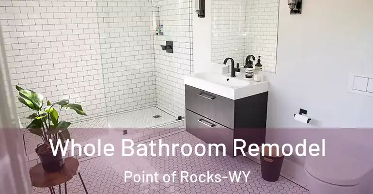 inner Bathroom imggen Whole Bathroom Remodel Point of Rocks-WY