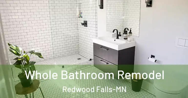 inner Bathroom imggen Whole Bathroom Remodel Redwood Falls-MN