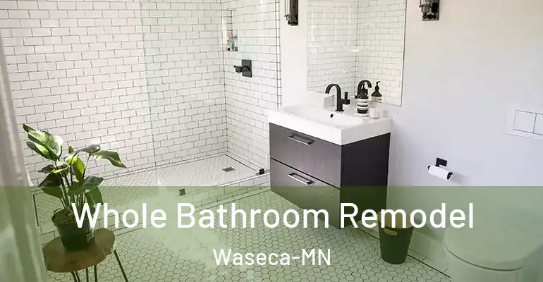 inner Bathroom imggen Whole Bathroom Remodel Waseca-MN