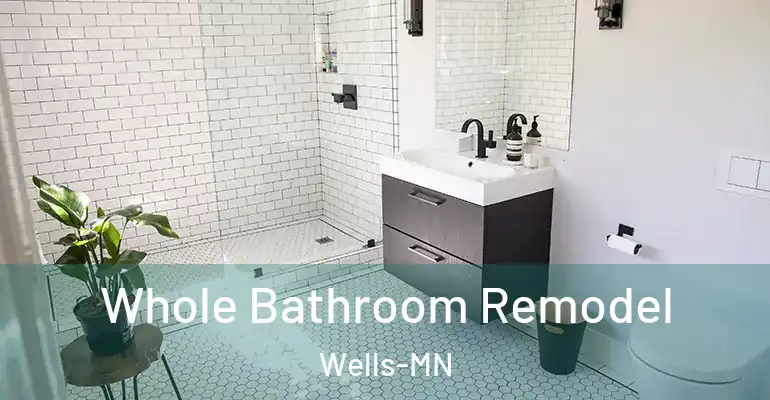 inner Bathroom imggen Whole Bathroom Remodel Wells-MN