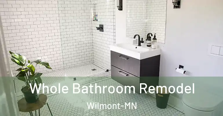 inner Bathroom imggen Whole Bathroom Remodel Wilmont-MN