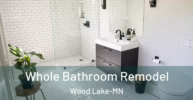 inner Bathroom imggen Whole Bathroom Remodel Wood Lake-MN