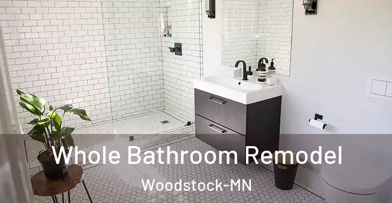 inner Bathroom imggen Whole Bathroom Remodel Woodstock-MN