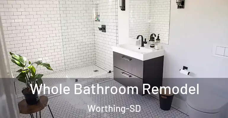 inner Bathroom imggen Whole Bathroom Remodel Worthing-SD